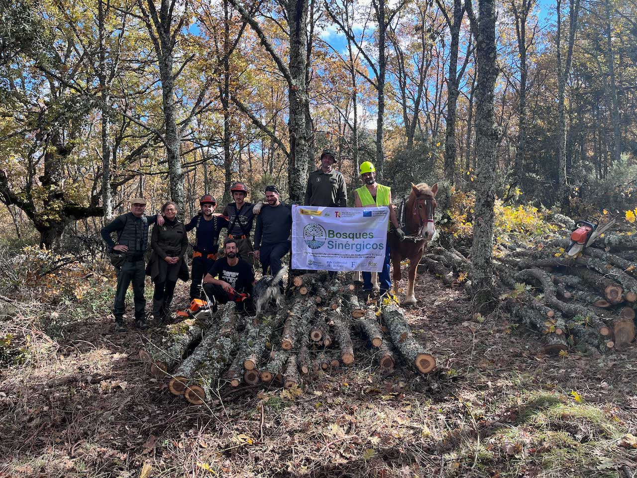 BosquesSinergicos_Equipo La UAH y ADAC desarrolla un proyecto piloto en gestión de bosques en la Sierra Norte
