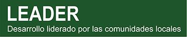 Logo Leader