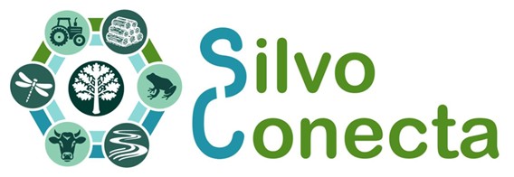 imagen corporativa proyecto silvoconecta 