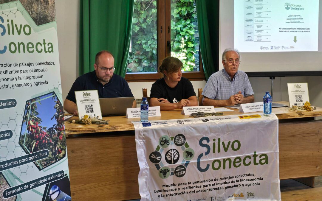 Majaelrayo acoge una jornada de ADAC para impulsar la bioeconomía local y la prevención de incendios a través del proyecto SilvoConecta