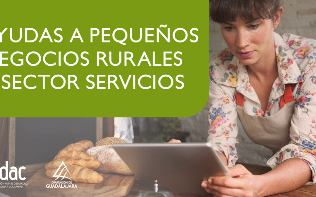 Últimos días para solicitar las ayudas a pequeños negocios rurales y sector servicios de la Diputación