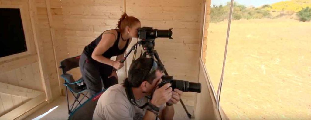 Observando las aves de la estepa en el Observatorio de Quer (Foto extraída del vídeo realizado por Manimals para el Ayto. de Quer)