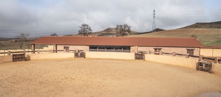 Campos taurinos, un complejo de ocio y recreativo para celebrar festejos taurinos en Ciruelas