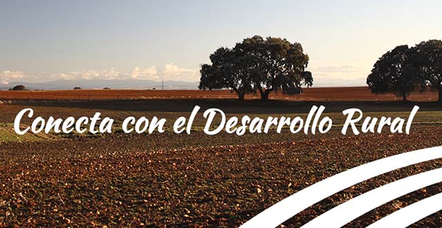 Curso on line gratuito Emprendimiento en el medio rural