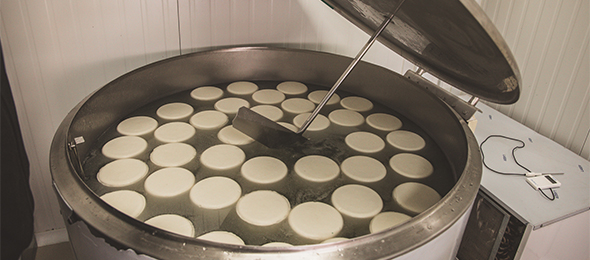 queso-artesanal-proceso